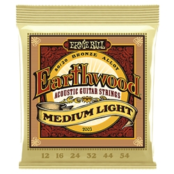 ERNIE BALL EARTHWOOD MED LT 12-54