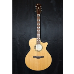 Ibanez AE170 Acoustic-electric Guitar - Natural