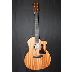 Taylor 24ce