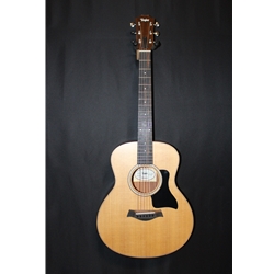 Taylor GS Mini