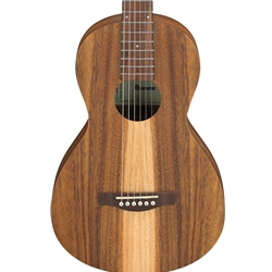 Ibanez PN2 Acoustic Guitar - Open Pore Natural
