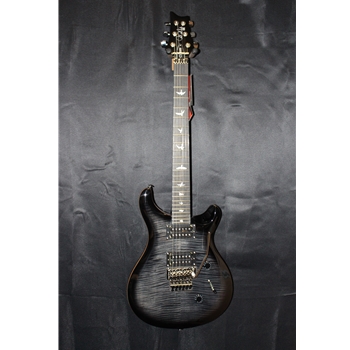 PRS SE Custom 24 Floyd