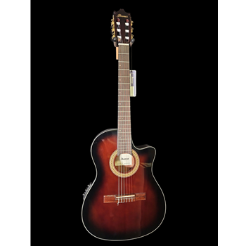 Ibanez GA35TCE Thinline Classical Acoustic Electric Guitar Violin