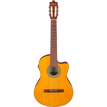 Ibanez GA3ECE Nylon-string Acoustic-electric Guitar - Open Pore Amber
