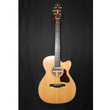 Seagull Maritime SWS CH CW Presys II