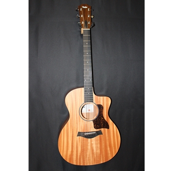 Taylor 24ce