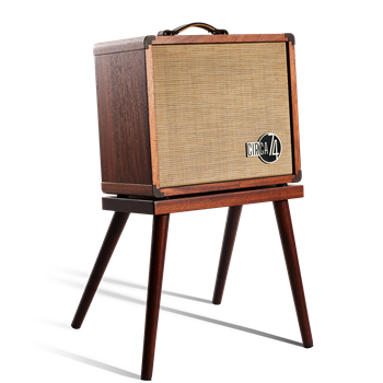 Taylor Circa 74 AV150-10 Acoustic Amplifier and Vocal System